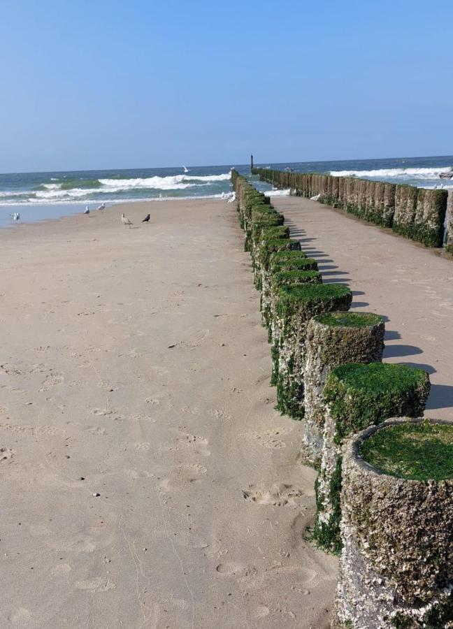 De Notenbalk Aan Zee Bed and Breakfast Vlissingen Exterior foto